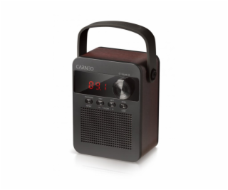 CARNEO F90 FM rádio, BT reproduktor, black/wood