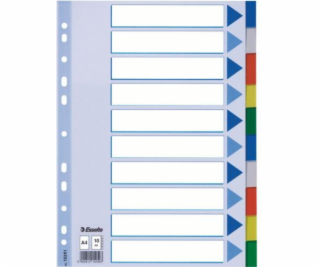 Esselte A4 Plastic Segregator 10 karet (10K217A)