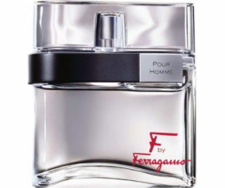 Salvatore Ferragamo f od Ferragamo Pour Homme Edt 100 ml