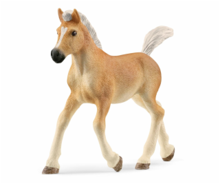 Schleich Horse Club Haflinger Fohlen 13951