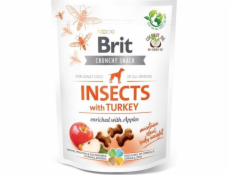 BRIT Care Dog Insects & Turkey - Dog treat - 200 g