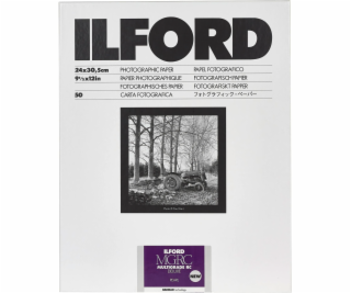 1x 50 Ilford MG RC DL 44M  24x30