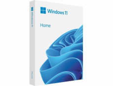 Windows Home 11 64-bit Eng USB