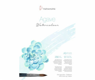 Hahnemühle Agave Watercolour A 3 12 Sheets 290 g