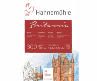 Hahnemühle Britannia Watercolour 12 sheets rough  30x40cm...