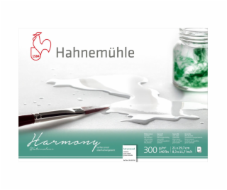 Hahnemühle Harmony Watercolour hot pressed  12 Sheets  30...