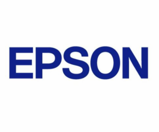 Epson High Cabinet P1