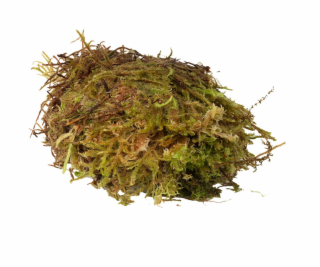 HabiStat Sphagnum Moss 250g