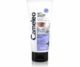 Delia Cosmetics Cameleo Silver kondicionér pro blond a še...