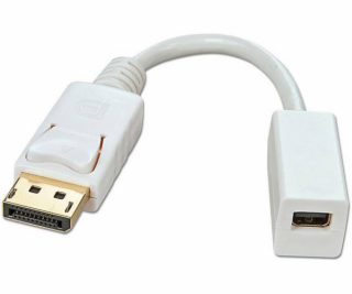 Lindy DisplayPort – DisplayPort Mini AV adaptér bílý (41060)