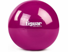 Tiguar Posilovací míč Heavy Ball 1kg Tiguar Purple univ (TI-PHB010)