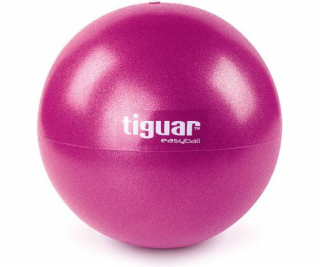 Cvičební míč Tiguar Easyball 25 cm švestka