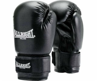 Allright TRAINING PRO BOXING GLOVES 6oz univerzální