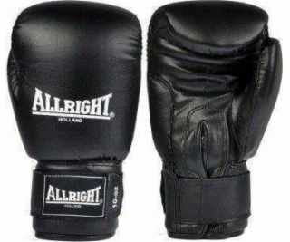 Allright TRAINING PRO BOXING GLOVES 10oz univerzální