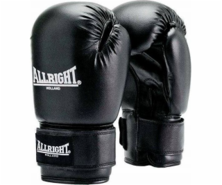 Allright TRAINING PRO BOXING GLOVES 12oz univerzální