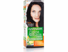 Garnier Color Naturals 2.10 Berry Black