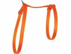 Postroj Zolux Cat nylon 10 mm oranžový