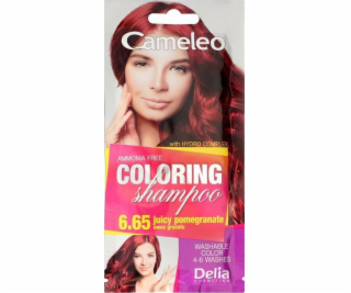 Delia Delia Cosmetics Cameleo Coloring Shampoo č. 6,65 Gr...