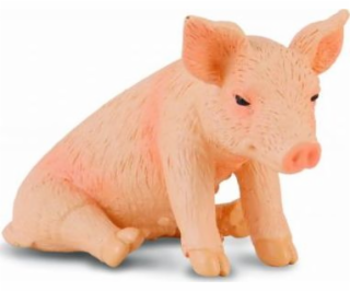 COLLECTA SEDÍCÍ PIGANTI