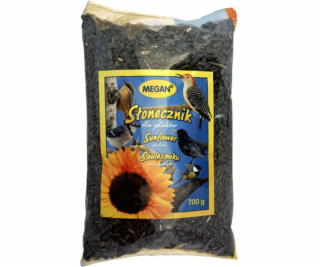 Megan Sunflower for wintering birds - 7