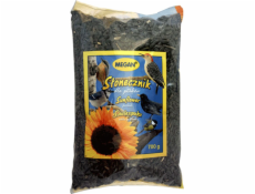 Megan Sunflower for wintering birds - 7