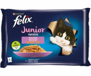 Felix Fantastic Junior rural flavors in