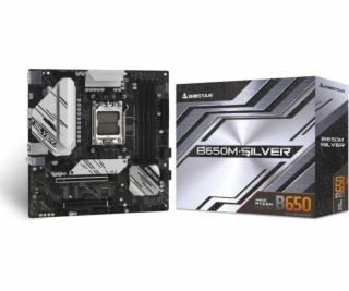 BIOSTAR B650M-SILVER motherboard