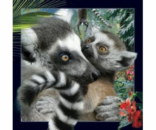 3D pohlednice Lemur, která stojí za to (180133)