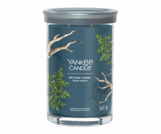 Svíčka ve skleněném válci Yankee Candle, Pobřežní cedr, 5...