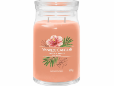 Svíčka ve skleněné dóze Yankee Candle, Tropický vánek, 567 g