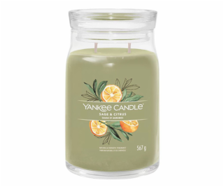 Svíčka ve skleněné dóze Yankee Candle, Šalvěj a citrus, 5...