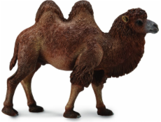 Figurka Collecta Bactrian Camel (004-88807)