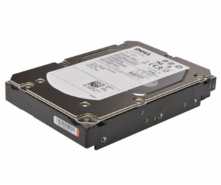 Dell/1TB/HDD/3.5 /SATA/7200 RPM/1R