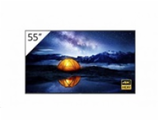 SONY 55   4K 24/7 Professional BRAVIA without Tuner, HAZE