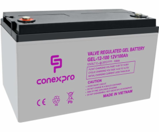 Baterie Conexpro GEL-12-100 GEL, 12V/100Ah, T16-M8, Deep ...