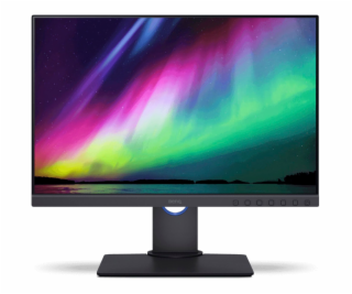 BENQ SW240, LED Monitor 24,1  WUXGA, šedý