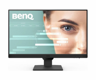 BENQ GW2490, LED Monitor FHD 23,8 , čierny