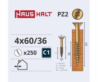 Vruty do dřeva Haushalt, 4 x 60/36 mm, ZN, PZ2, 250 ks.