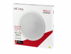 Imontuojamas šviestuvas LED Line MOLLY, 24W, 3000-6000°K,LED