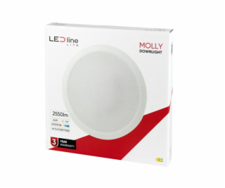 Imontuojamas šviestuvas LED Line MOLLY, 24W, 4000°K, LED