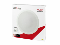 Imontuojamas šviestuvas LED Line MOLLY, 24W, 4000°K, LED