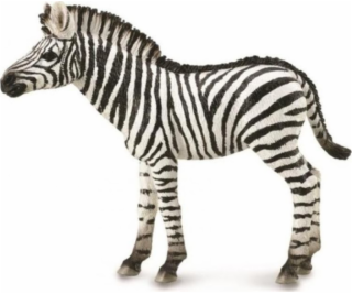 Collecta figúrka ZEBRA FOAL