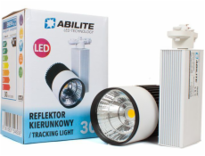 Abilite smerový reflektor 2400lm 230V/30W (5901583546938)