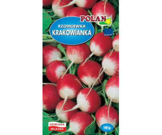 Polan Reďkev Krakowianka semienka 10g Polan