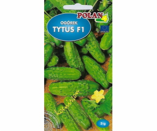 Polan Cucumber Ground Tytus - Hybrid Seeds 3g Pola