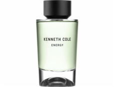 Kenneth Cole Kenneth Cole Energy Edt 100ml