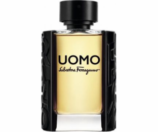 Salvatore Ferragamo Uomo EDT 100 ml