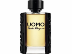 Salvatore Ferragamo Uomo EDT 100 ml