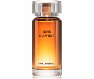 Karl Lagerfeld Bois d´Ambre EDT 100 ml