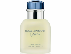 Dolce & Gabbana Light Blue Pour Homme EDT 40 ml